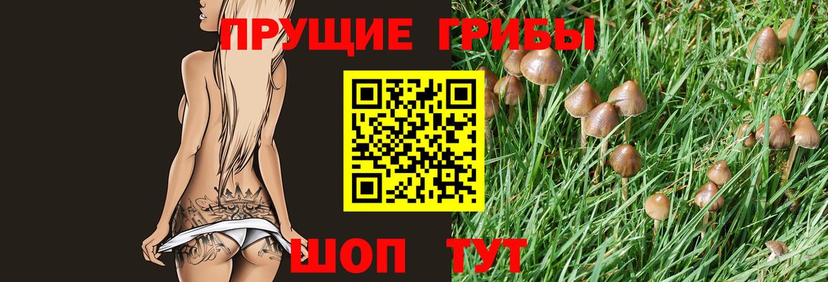 Псилоцибиновые грибы Magic Shrooms  Вход с VPN  Лабинск 