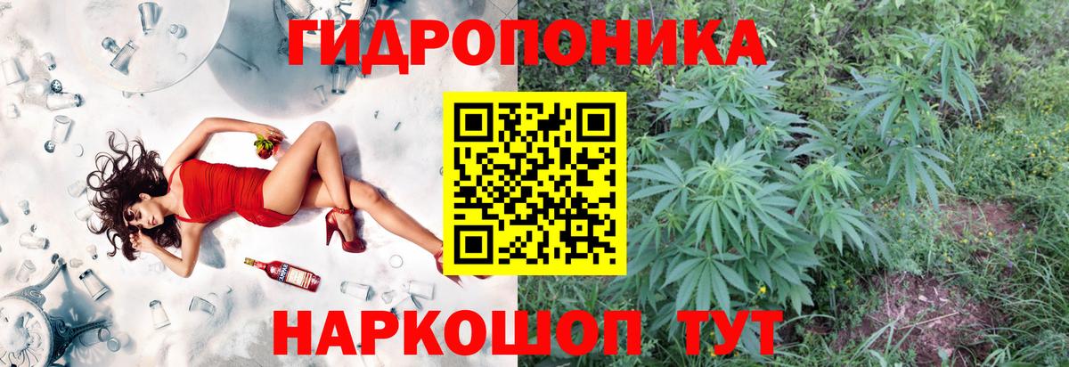 Каннабис OG Kush  Бошки марихуана семена  Бошки марихуана ГИДРОПОН  Лабинск  Вход с VPN 